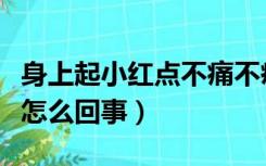 身上起小红点不痛不痒（身上有红点不痛不痒怎么回事）