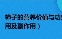 柿子的营养价值与功效禁忌（柿子的功效与作用及副作用）