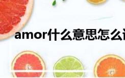 amor什么意思怎么读（amor什么意思）