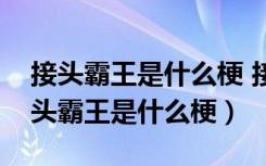 接头霸王是什么梗 接头霸王是什么意思（接头霸王是什么梗）