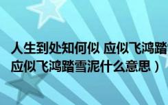 人生到处知何似 应似飞鸿踏雪泥出自哪里（人生到处知何似应似飞鸿踏雪泥什么意思）
