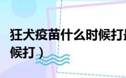 狂犬疫苗什么时候打最合适（狂犬疫苗什么时候打）