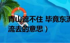 青山遮不住 毕竟东流去（青山遮不住毕竟东流去的意思）