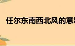 任尔东南西北风的意思（任尔东南西北风）