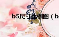 b5尺寸比例图（b5尺寸大小是多少）