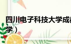 四川电子科技大学成都学院（四川电子科技大学）