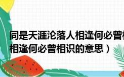 同是天涯沦落人相逢何必曾相识修辞手法（同是天涯沦落人相逢何必曾相识的意思）