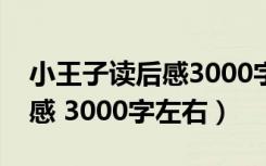 小王子读后感3000字左右高中（小王子读后感 3000字左右）