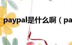 paypal是什么啊（paypal是什么支付方式）