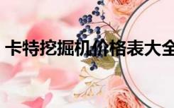 卡特挖掘机价格表大全（卡特挖掘机价格表）