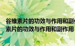 谷维素片的功效与作用和副作用谷维素能不能长期吃（谷维素片的功效与作用和副作用）