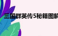 三国群英传5秘籍图解（三国群英传5秘籍）