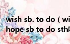 wish sb. to do（wish sb to do sth正确吗 hope sb to do sth呢）