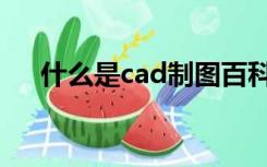 什么是cad制图百科（什么是cad制图）