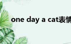 one day a cat表情包（cat shit one）