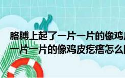 胳膊上起了一片一片的像鸡皮疙瘩怎么回事啊（胳膊上起了一片一片的像鸡皮疙瘩怎么回事）