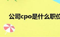 公司cpo是什么职位（cpo是什么职位）