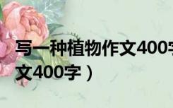 写一种植物作文400字四年级（写一种植物作文400字）