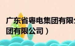 广东省粤电集团有限公司排名（广东省粤电集团有限公司）