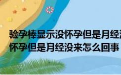 验孕棒显示没怀孕但是月经没来怎么回事啊（验孕棒显示没怀孕但是月经没来怎么回事）