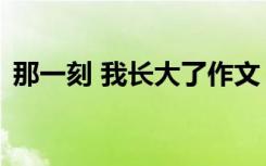 那一刻 我长大了作文（作文 我眼中的老师）