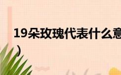 19朵玫瑰代表什么意思（19朵玫瑰代表什么）