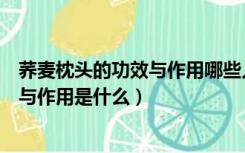 荞麦枕头的功效与作用哪些人不适合使用（荞麦枕头的功效与作用是什么）