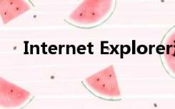 Internet Explorer浏览器本质上是一个