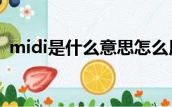 midi是什么意思怎么用（midi是什么意思）