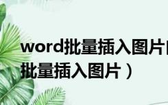 word批量插入图片自动排版不重叠（word批量插入图片）