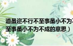 道虽迩不行不至事虽小不为不成的意思表明（道虽迩不行不至事虽小不为不成的意思）