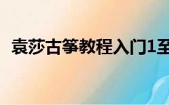 袁莎古筝教程入门1至3级（袁莎古筝教程）