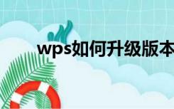 wps如何升级版本（WPS如何升级）