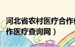 河北省农村医疗合作保险查询（河北省农村合作医疗查询网）