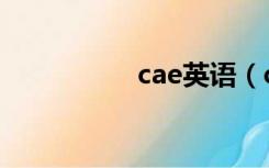 cae英语（cae是什么）