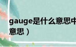 gauge是什么意思中文翻译（gauge是什么意思）