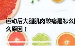 运动后大腿肌肉酸痛是怎么回事（运动后大腿肌肉酸痛是什么原因）