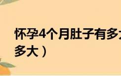 怀孕4个月肚子有多大图片（怀孕3个月肚子多大）