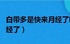 白带多是快来月经了吗（有白带是不是快来月经了）