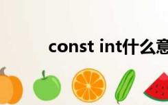 const int什么意思（const int）