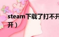 steam下载了打不开（steam下载之后打不开）