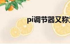 pi调节器又称为（pi调节器）