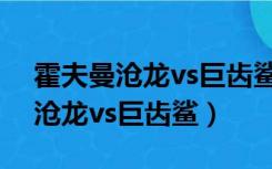 霍夫曼沧龙vs巨齿鲨vs梅尔维尔鲸（霍夫曼沧龙vs巨齿鲨）