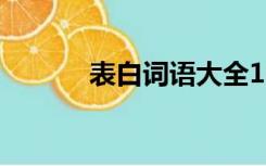 表白词语大全100个（表白词）