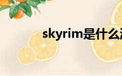 skyrim是什么游戏（skyrim）