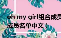 oh my girl组合成员资料（oh my girl女团成员名单中文）