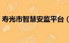 寿光市智慧安监平台（寿光市安全教育平台）