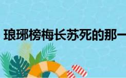 琅琊榜梅长苏死的那一段（琅琊榜梅长苏死）