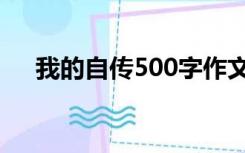 我的自传500字作文（我的自传500字）