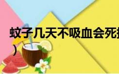 蚊子几天不吸血会死掉（蚊子几天不吸血会死）